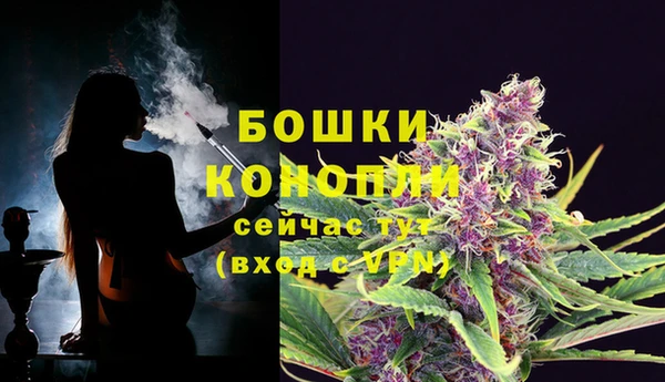 прущая мука Магас