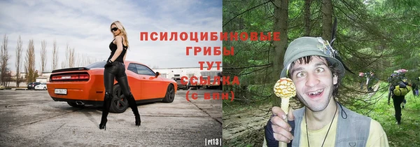 прущая мука Магас