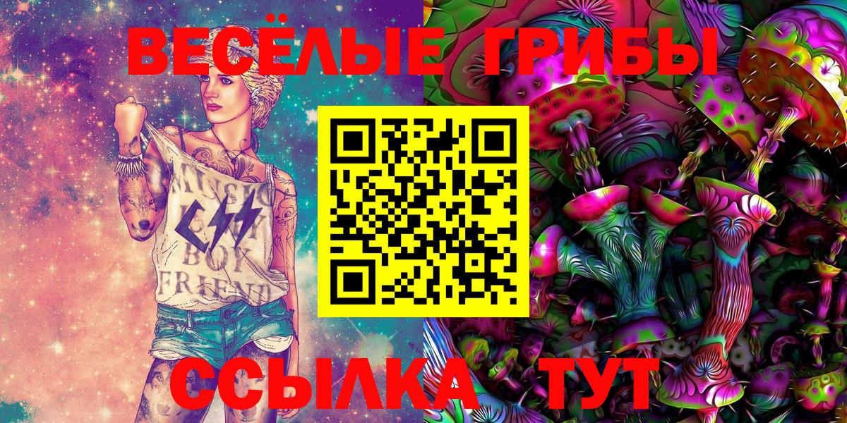 Псилоцибиновые грибы GOLDEN TEACHER Киржач