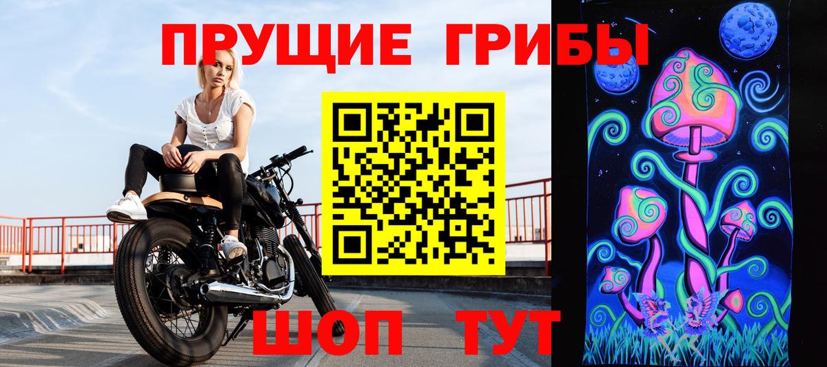 Псилоцибиновые грибы ЛСД  где можно купить наркотик  Киржач  Псилоцибиновые грибы Psilocybe  Вход с VPN 